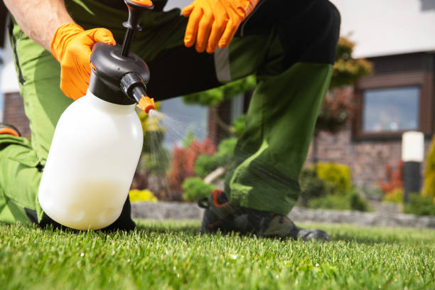 Best Wasp Removal Services  in Farley, KY