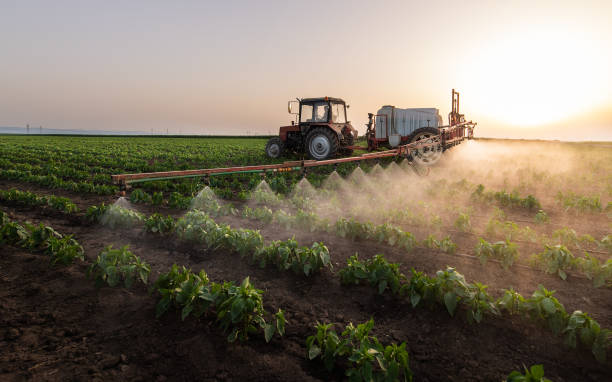 Best Commercial Pest Control Services  in Farley, KY