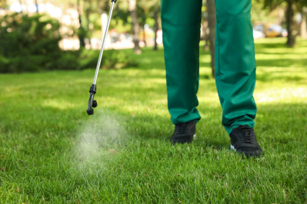 Reliable Farley, KY Pest Control Solutions
