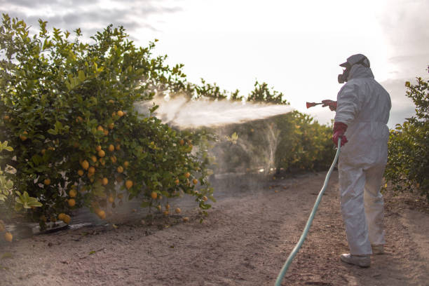 Best Commercial Pest Control Services  in Farley, KY